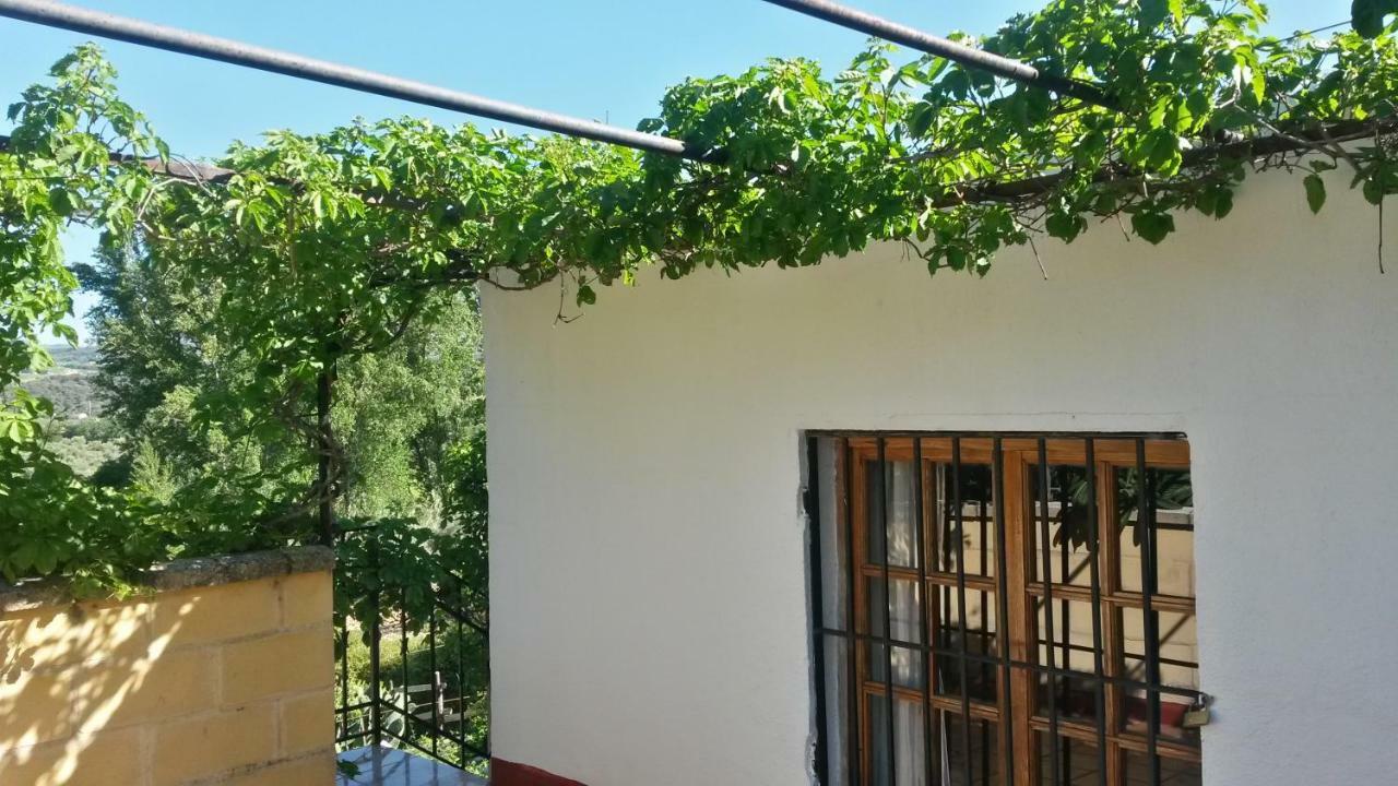 Apartamento Rural Cristi Ronda Ngoại thất bức ảnh