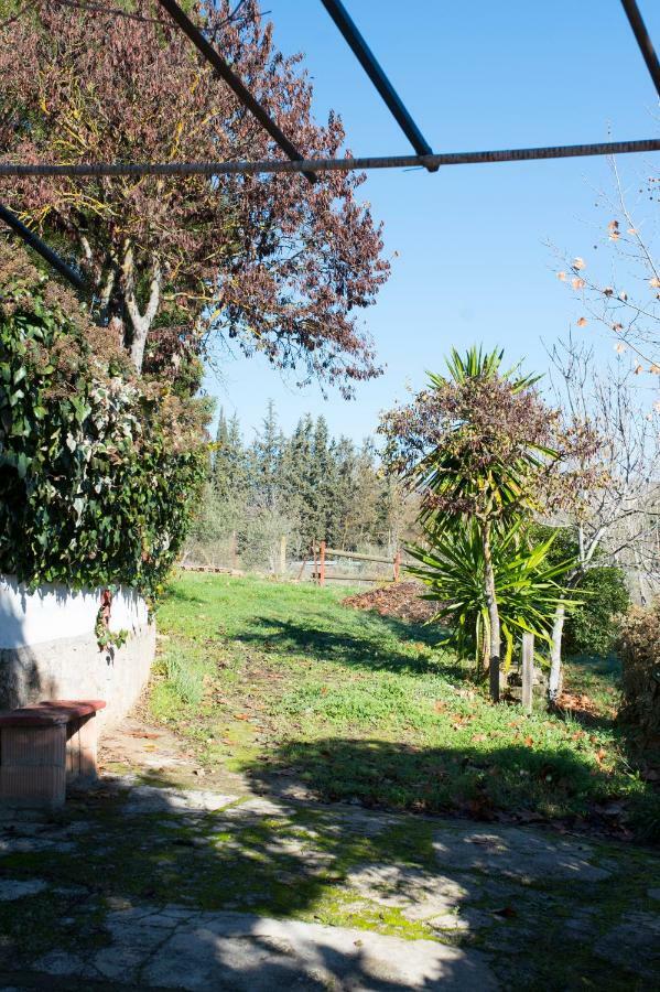 Apartamento Rural Cristi Ronda Ngoại thất bức ảnh